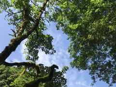 -西岭雪山大飞水景区