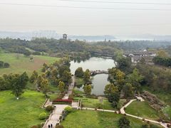 -张坝桂圆林公园