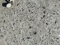 -北海金海湾红树林生态旅游区