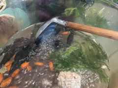 -同湘会馆(粤垦路店)