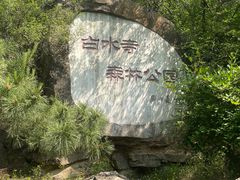 -白水寺森林公园