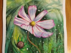 -剪刀石头布家居广场