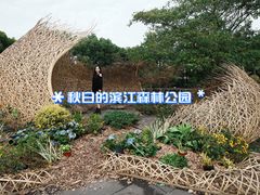 -上海滨江森林公园