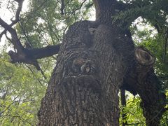 -北陵公园