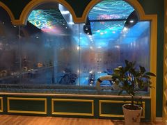 -ABC Swim亲子游泳俱乐部(河西店)