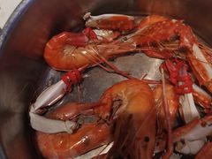 -半岛听涛蒸汽海鲜自助(K11店)