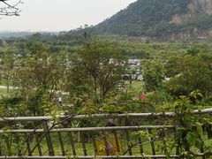 -佛山市三水区大南山森林公园
