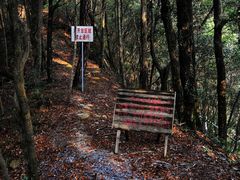 -祁门牯牛降观音堂风景区