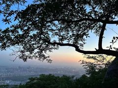 -紫金山山顶公园