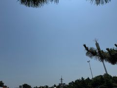 -日照海滨国家森林公园