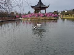 -木兰水镇旅游景区