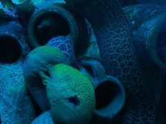 -太平洋海底世界