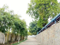 -广州神农草堂中医药博物馆