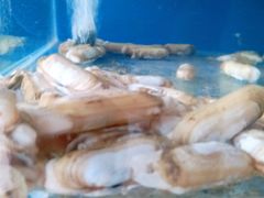 -雅逸居海鲜小厨