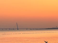 -深圳湾公园(南山区)