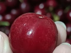 -美廉美超市(圣熙8号购物中心店)