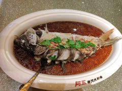 -阿五黄河大鲤鱼(纬三路店)