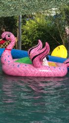 -萌宠亲子动物乐园(槐房万达店)