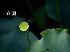 -裕和堂中医推拿艾灸(太古汇臻品店)