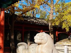 -北京石刻艺术博物馆(五塔寺)