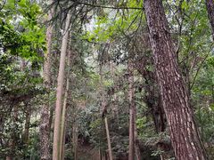 -窦圌山风景区