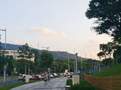 -白石龙音乐公园