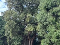 -七曲山风景区