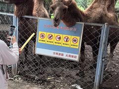 -长白岛森林公园