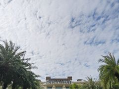 -惠州白鹭湖雅居乐喜来登度假酒店-采悦轩中餐厅