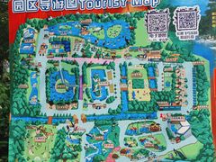 -广州长隆飞鸟乐园