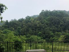 -东莞市大岭山森林公园