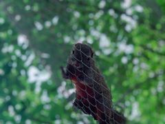 -苏州太湖西山岛开心农场