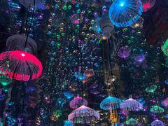 -梵高星空艺术馆(北京旗舰店)