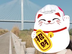 -芒洲湿地公园