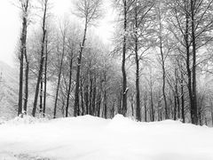 -太子岭滑雪场