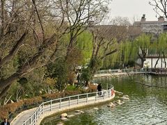 -莲湖公园