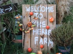 -HERRE·FARM 赫尔露营农场·团建聚会包场