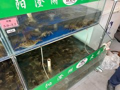 -阳澄湖大闸蟹·琼灵阁牌品牌连锁(吴中总店)