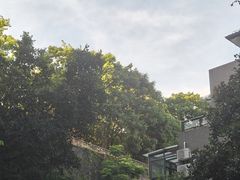 -龙泉洞(沙坪坝区)