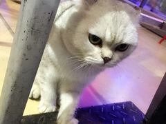 -MIKAKU(万达广场上海宝山店)