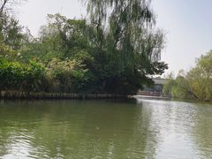 -溱湖国家湿地公园