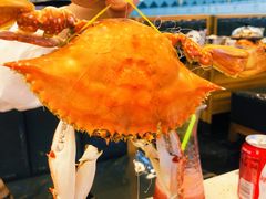-圣罗巴海鲜自助(黑金店)