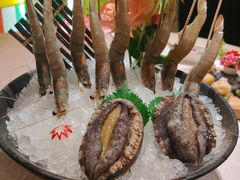 鲜活大连鲍鱼-ONE FULL 古董港式海鲜火锅