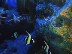 -海合安成都极地海洋公园