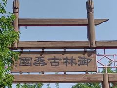 -御林古桑园