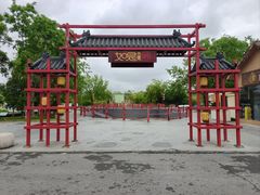 -泗洪洪泽湖湿地景区