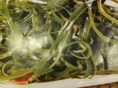 -嘉和一品粥(山水店)