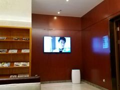 -郑州新郑国际机场T2航站楼-贵宾厅B区