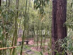 -康百万庄园