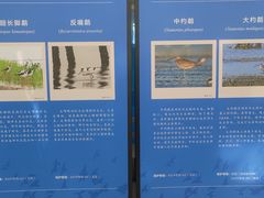 -上海海洋大学鱼文化博物馆(军工路校区)